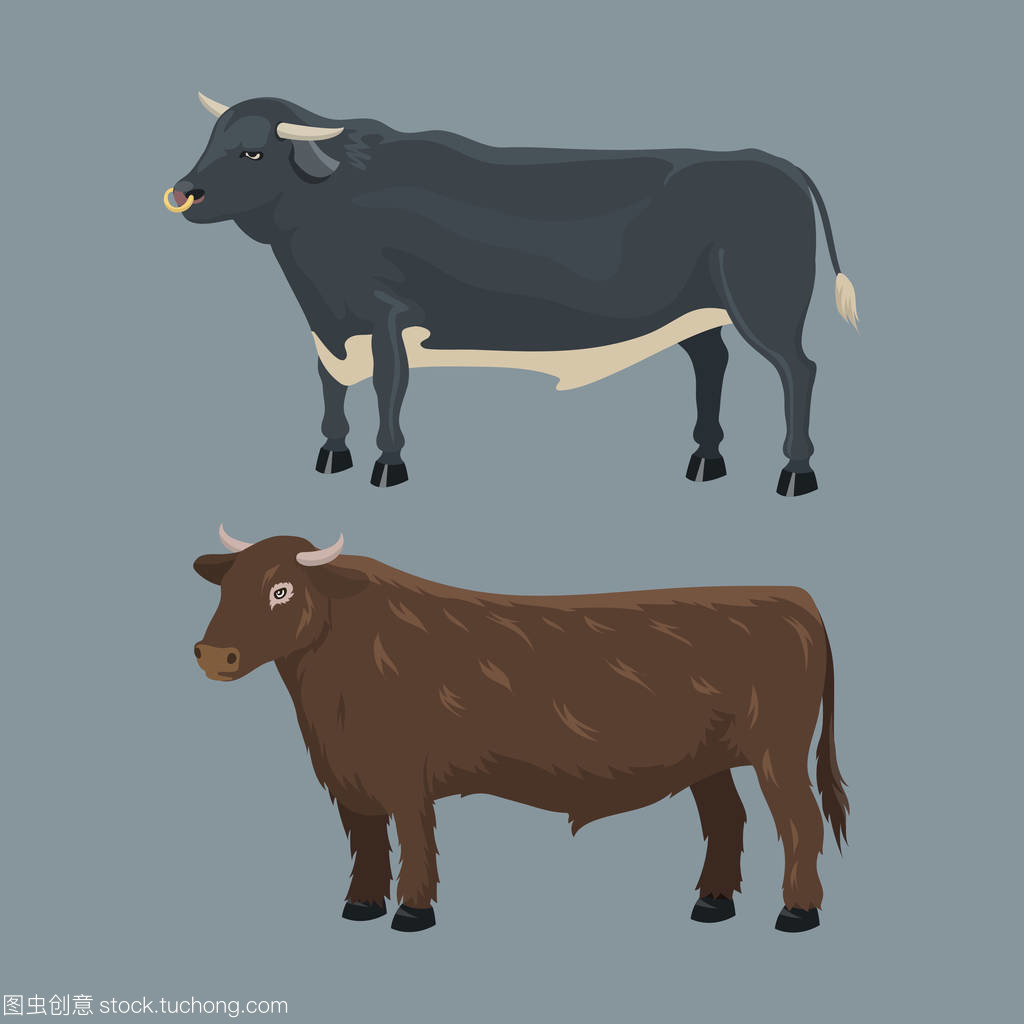 牛农场动物男立矢量图