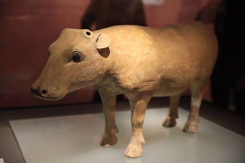 西安展出90余件牛文物 民众博物院看 牛