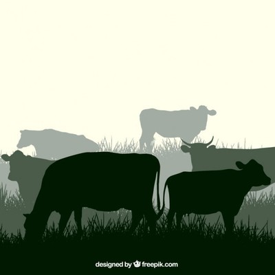 牛的剪影平面广告素材免费下载(图片编号:7771263)